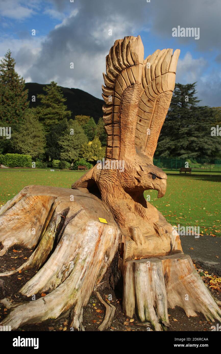Spectaculaire scltpture en bois d'un oiseau de prière en vol sculpté dans une souche d'arbre à Fitz Park, Keswick, Cumbria par l'artiste de tronçonneuse Rolande Urwin. Banque D'Images