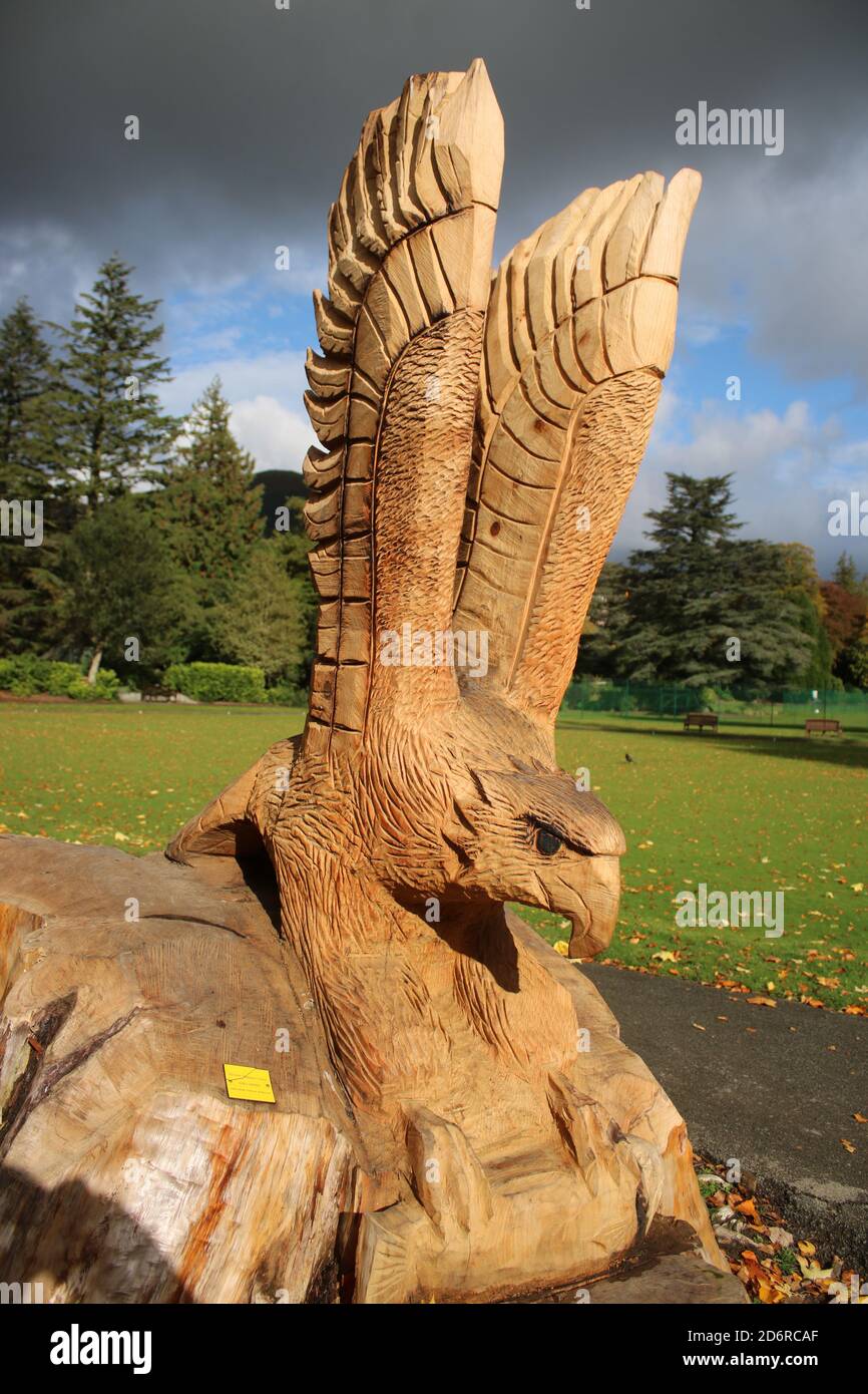 Spectaculaire scltpture en bois d'un oiseau de prière en vol sculpté dans une souche d'arbre à Fitz Park, Keswick, Cumbria par l'artiste de tronçonneuse Rolande Urwin. Banque D'Images