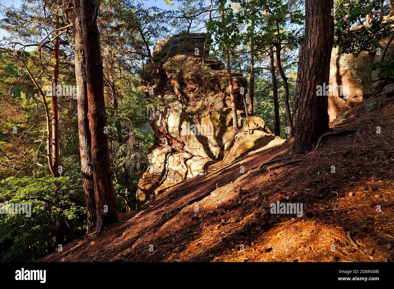 Roche de grès rouge Effles, Allemagne, Rhénanie-du-Nord-Westphalie, Eifel, Nideggen Banque D'Images