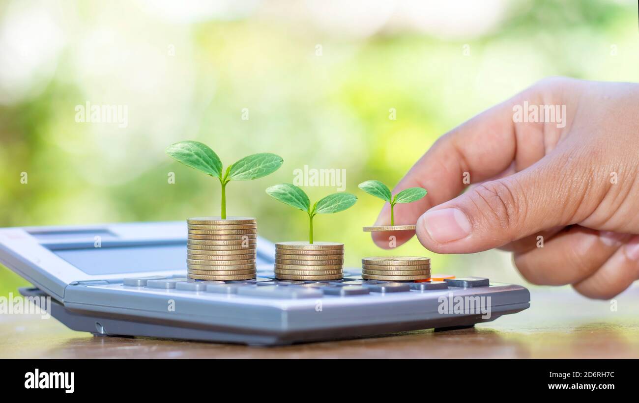La main tenant l'arbre qui pousse sur la pièce de monnaie comprend le croissant, la plante poussant sur la pièce de monnaie et la calculatrice. Banque D'Images