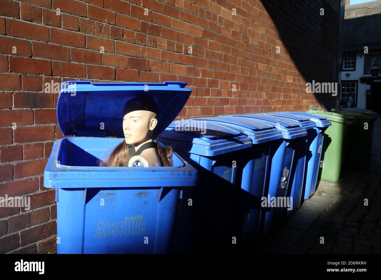 Une mannequin femelle, parfois appelée tête de mannequin, sort de  l'intérieur d'une poubelle à roues bleues, la tête se tenant dans une allée  à Ayr, Ayrshire, Écosse, Royaume-Uni.Une image de concept effrayante