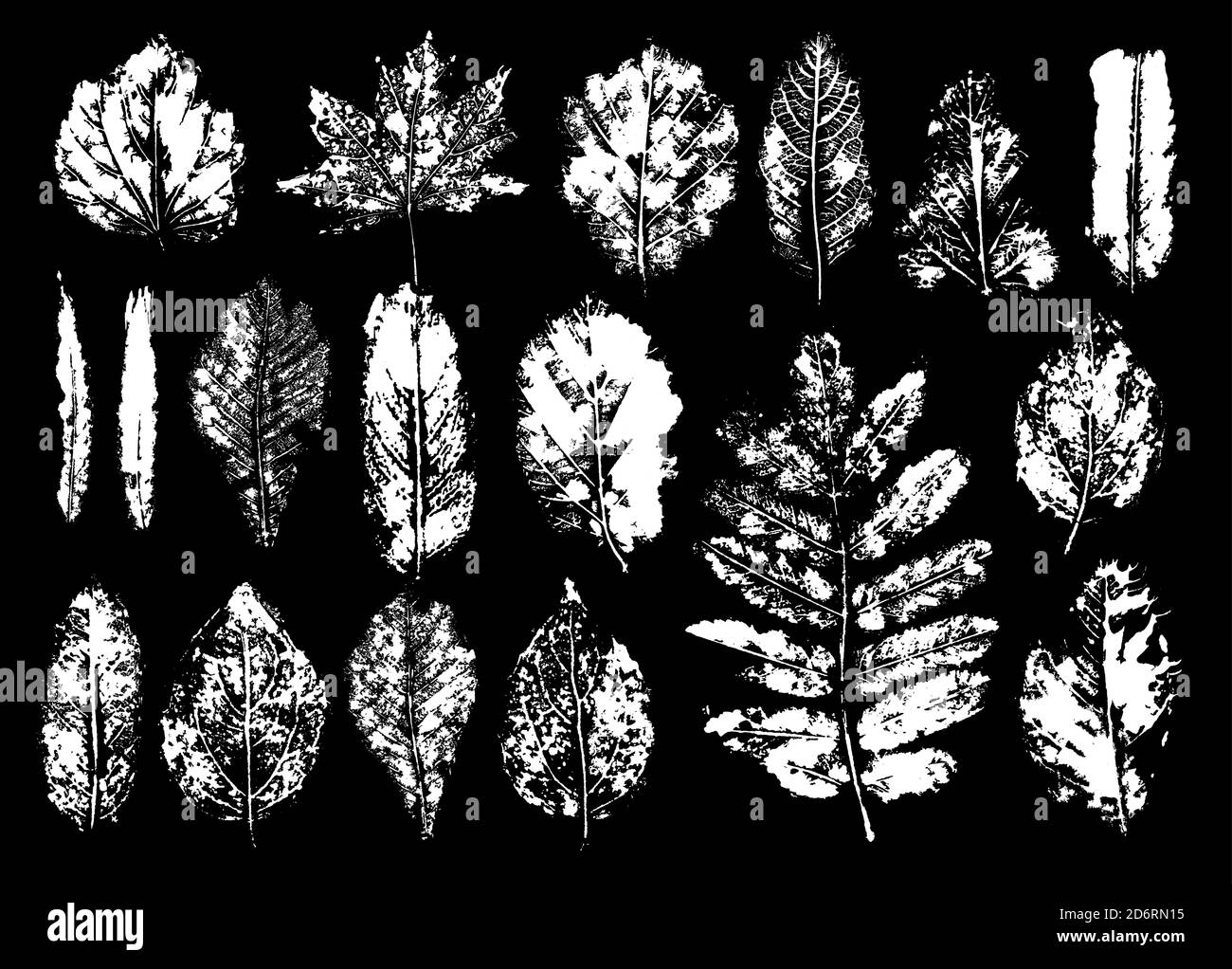 Définir le monotype imprimé de plante foliaire sur fond blanc isolé. Peinture nature botanique. Illustration de Vecteur