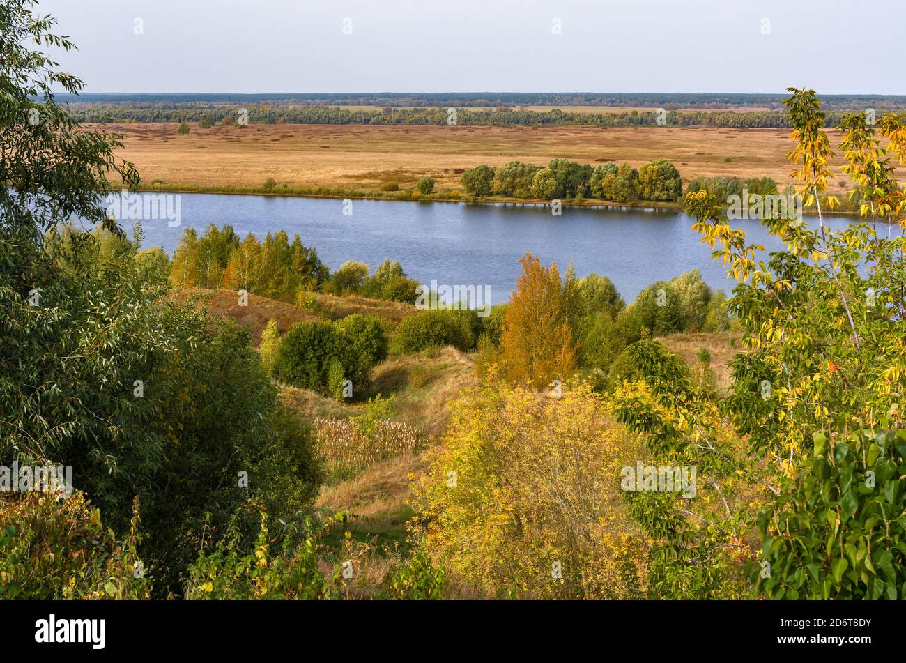 Paysage d'automne avec des arbres couverts de feuilles dorées et d'une rivière. Vue russe typique. Banque D'Images