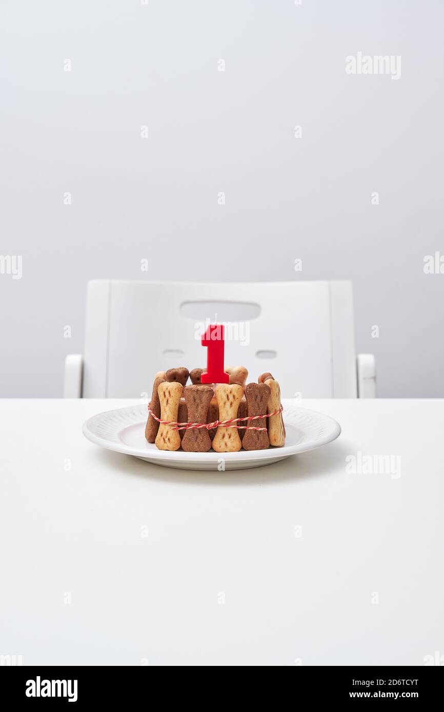 Delicieux Gateau D Anniversaire Fait Maison A Base De Biscuits Osseux Pour Chiens Et Decore Avec Une Bougie Placee Sur Une Table Dans L Appartement Photo Stock Alamy