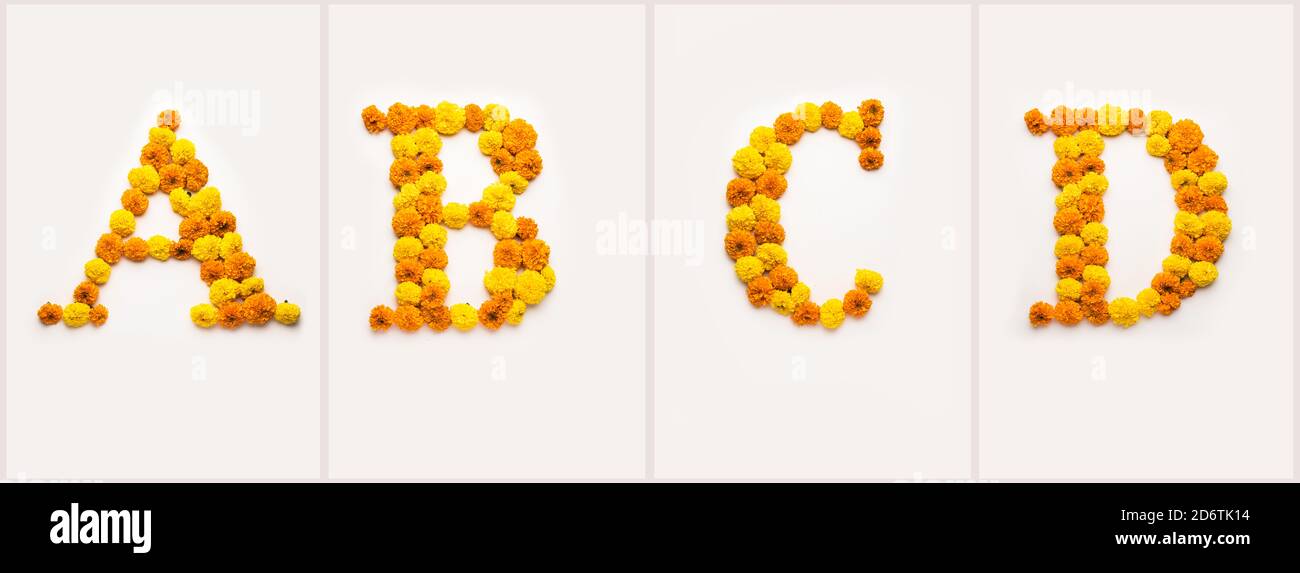 Numéro anglais, chiffre ou alphabet fait avec marigold ou zendu de fleurs Banque D'Images