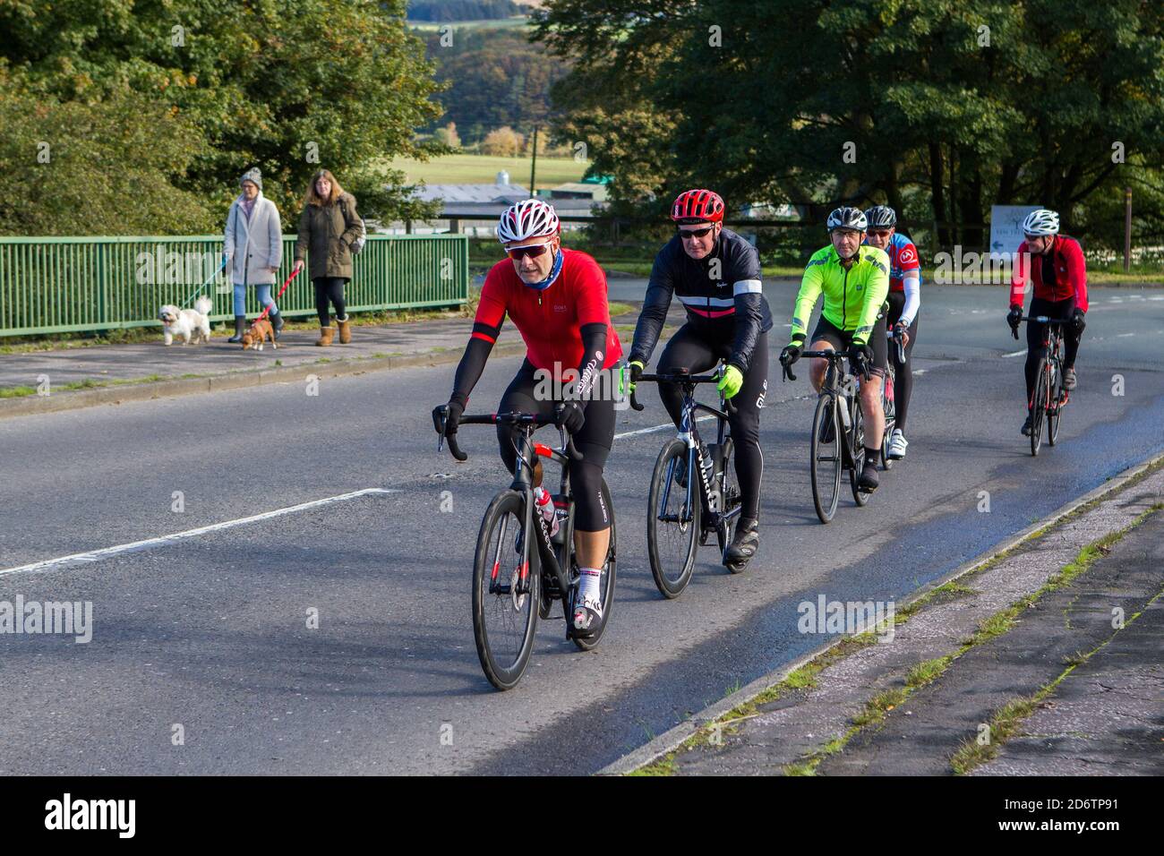 Les cyclistes mâles qui voyagent en peloton fibre de carbone léger vélo de route sportif sur la route de campagne traversant le pont d'autoroute dans la campagne du Lancashire, Royaume-Uni Banque D'Images