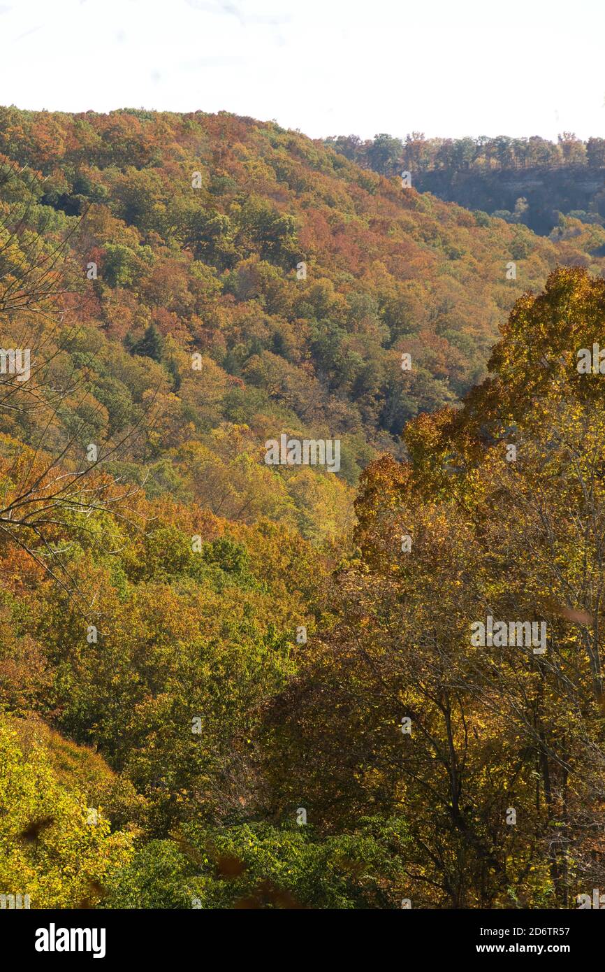 Les couleurs d'automne dans la vallée vue depuis le belvédère dans chillicothe ohio, un roost à la mode. Les feuilles d'automne présentent différentes couleurs en ravin. Magnifique changement de saison dans l'Ohio Banque D'Images