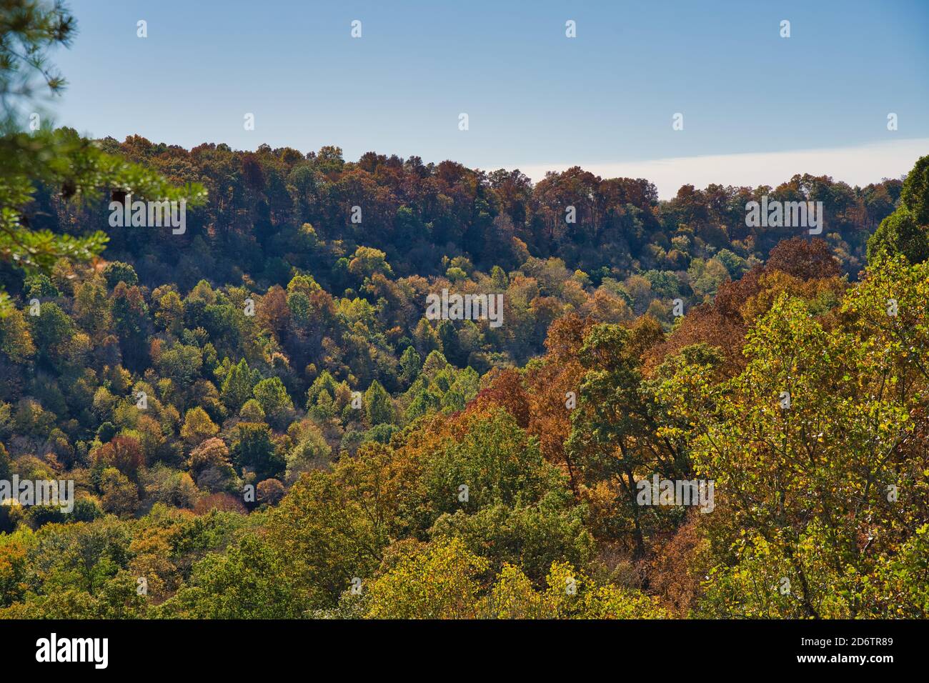 Vallée pendant l'automne dans le bourdonnement chillicothe. Arbres colorés sur une colline de contreforts d'apalaches. Feuilles orange, rouge et jaune sur les arbres Banque D'Images