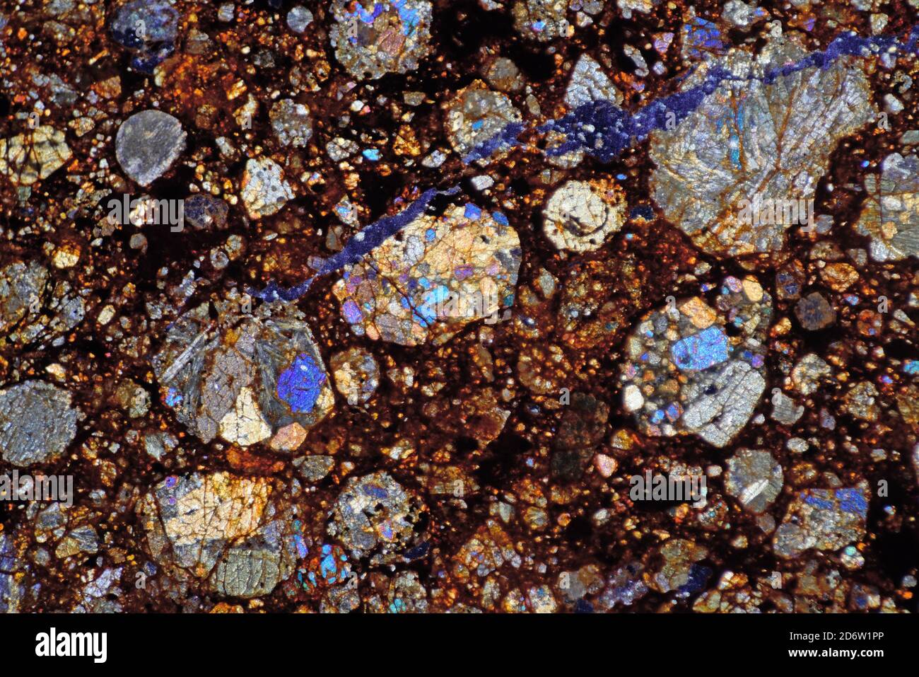Section de lame de météorite NWA, photomicrographe polarisé, riche en chondrule, désert du Sahara, Maroc Banque D'Images