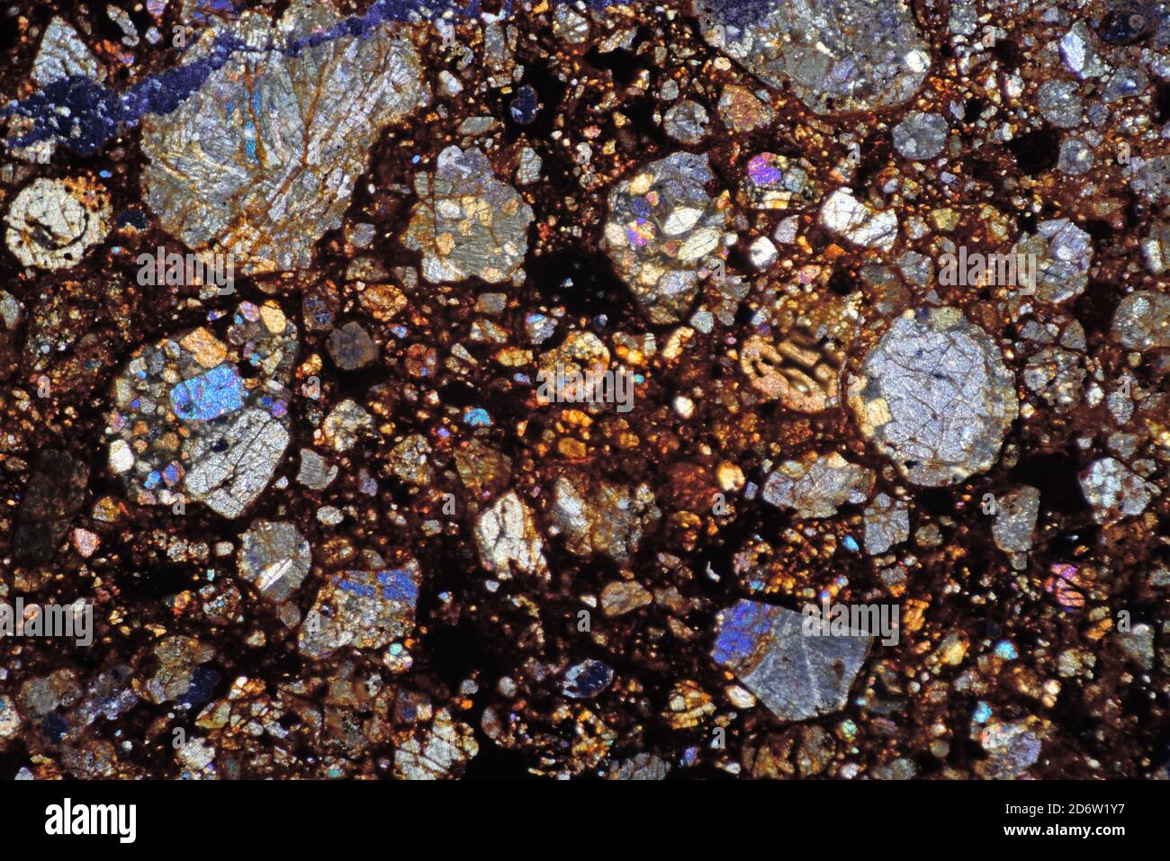 Section de lame de météorite NWA, photomicrographe polarisé, riche en chondrule, désert du Sahara, Maroc Banque D'Images