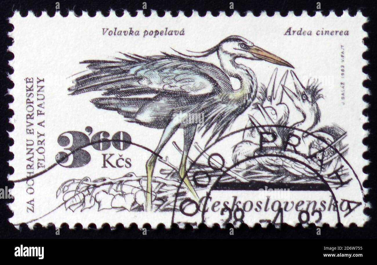 MOSCOU, RUSSIE - 12 FÉVRIER 2017 : un timbre imprimé en Tchécoslovaquie montre un héron gris avec l'inscription 'Ardea cinerea', série animaux, circa Banque D'Images