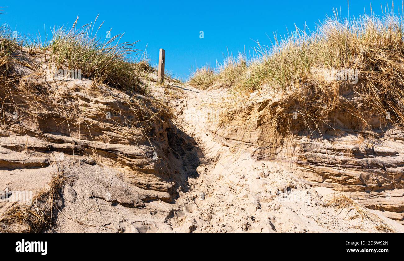 Les empreintes de pas dans le sable mènent vers le haut et sur une dune de sable pour sortir de la plage de Montauk Beach avec un ciel très bleu au-dessus. Banque D'Images