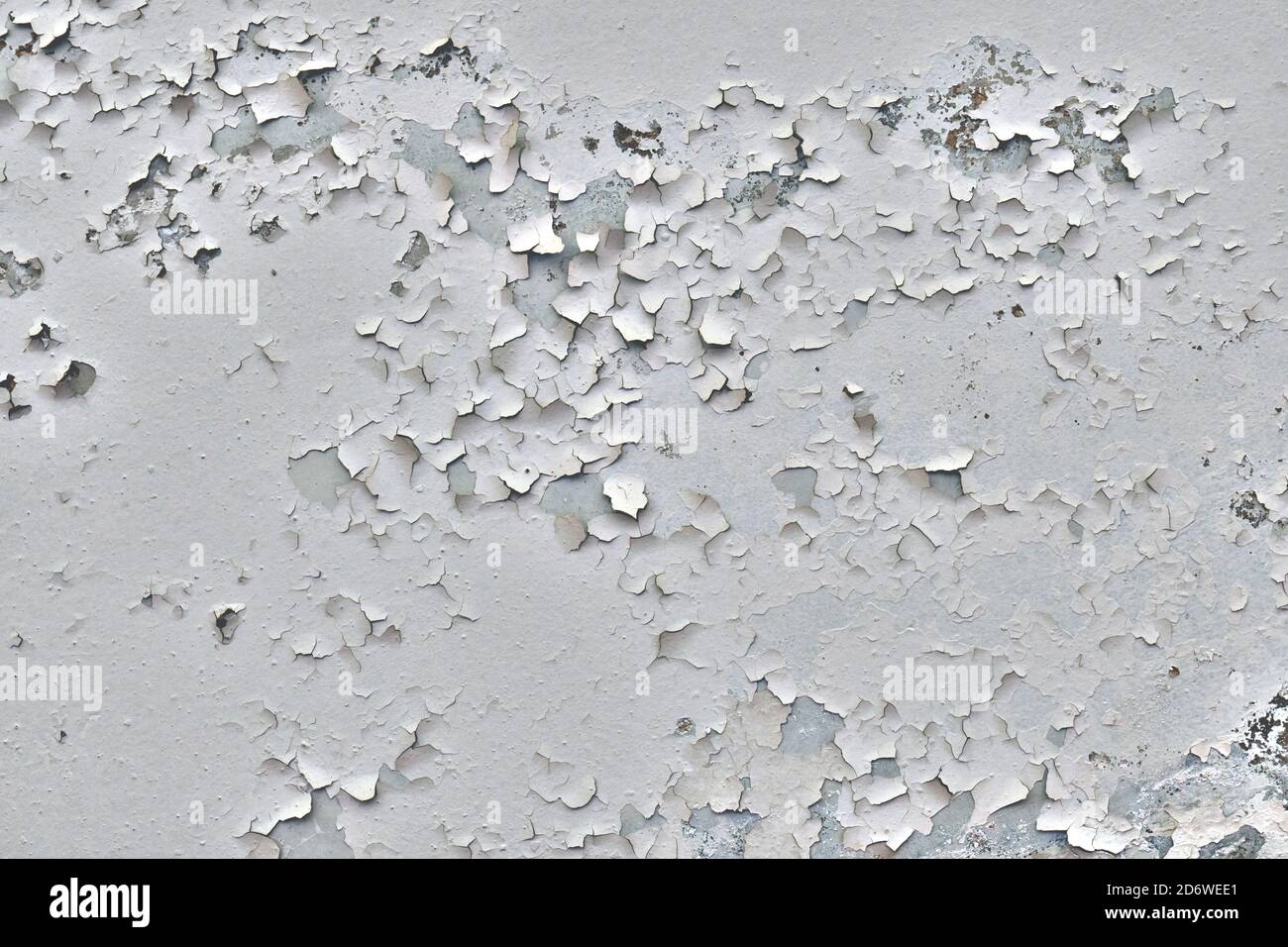 Peinture fissurée de l'ancienne surface. Fond de plâtre qui s'écaille du  plafond. La texture de la peinture grise qui s'écaille sur le plafond Photo  Stock - Alamy