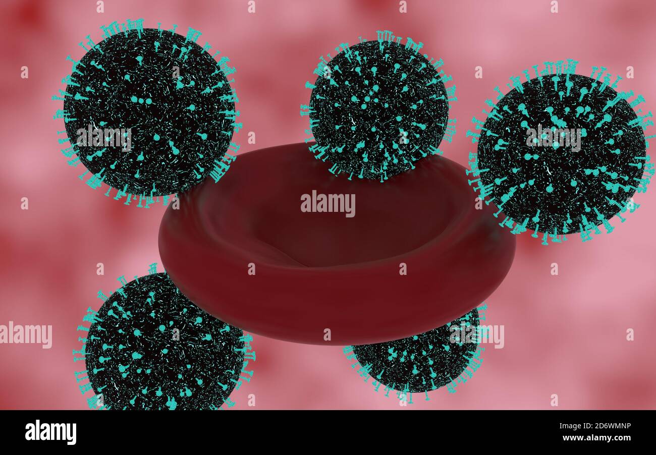 rendu 3d des globules rouges infectés par les coronavirus, tous flottant sur un fond rouge et blanc Banque D'Images
