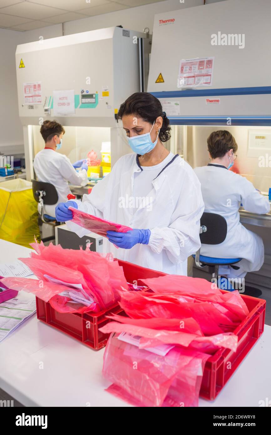 Traitement des tests PCR, criblage Covid 19, hôpital de Limoges, France. Banque D'Images