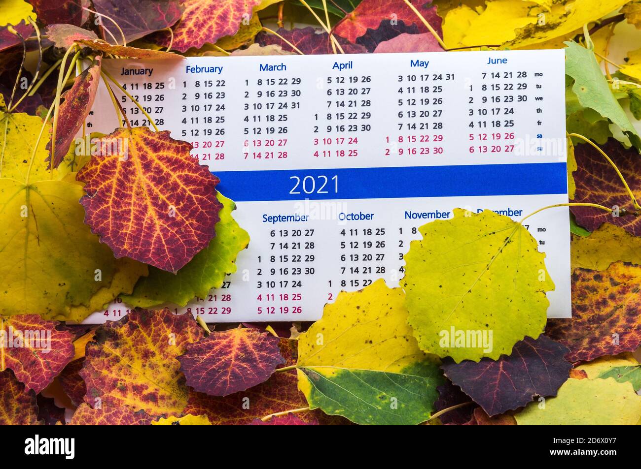 feuilles d'automne rouges et jaunes et calendrier 2021, calendrier 2021 en feuilles d'automne Banque D'Images
