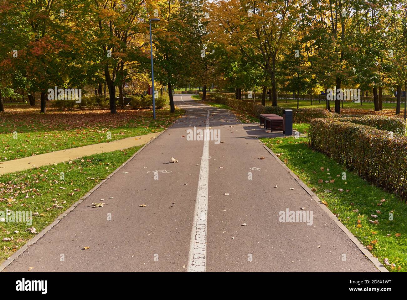 Route pavée dans le parc, divisée par des marquages sur les parties vélo et piéton. Banque D'Images