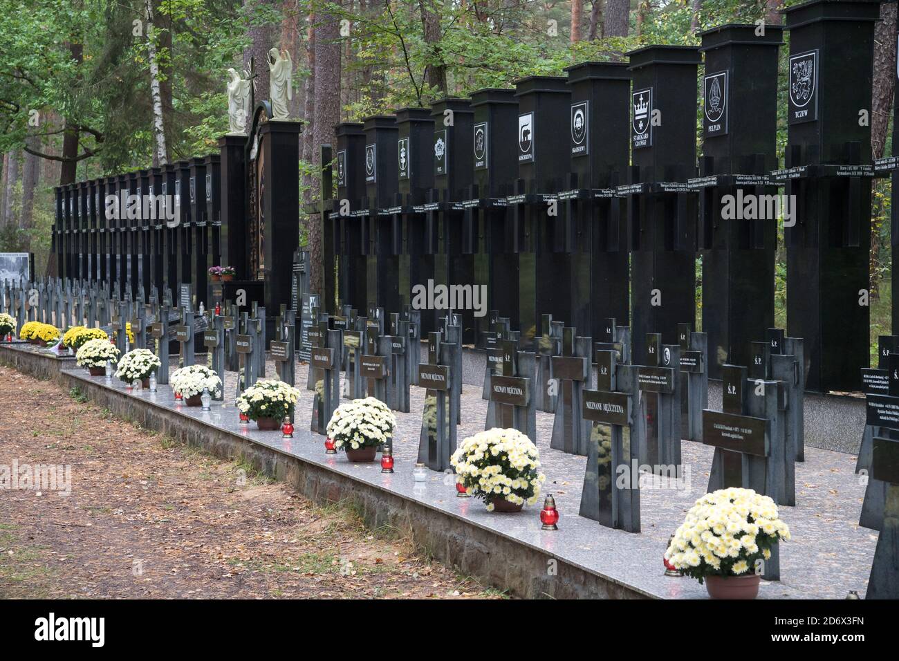 Une des 30 tombes de masse d'au moins 12.000 à 14.000 intellectuels polonais (militants nationaux, enseignants, prêtres) de Kaszuby et Pomerania, extermina Banque D'Images