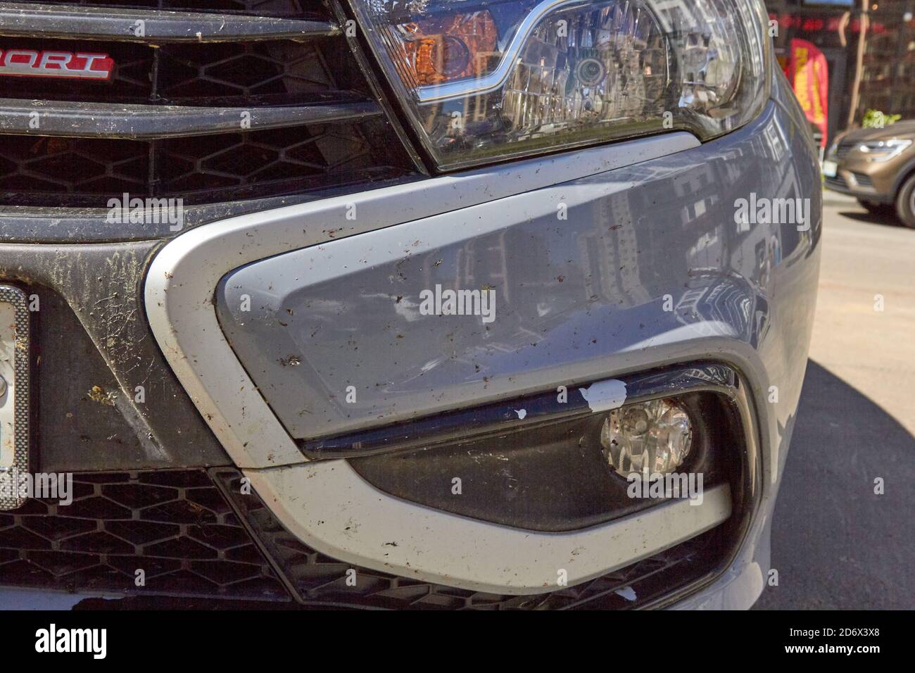 insectes sur la voiture sur la peinture du bouclier. Banque D'Images