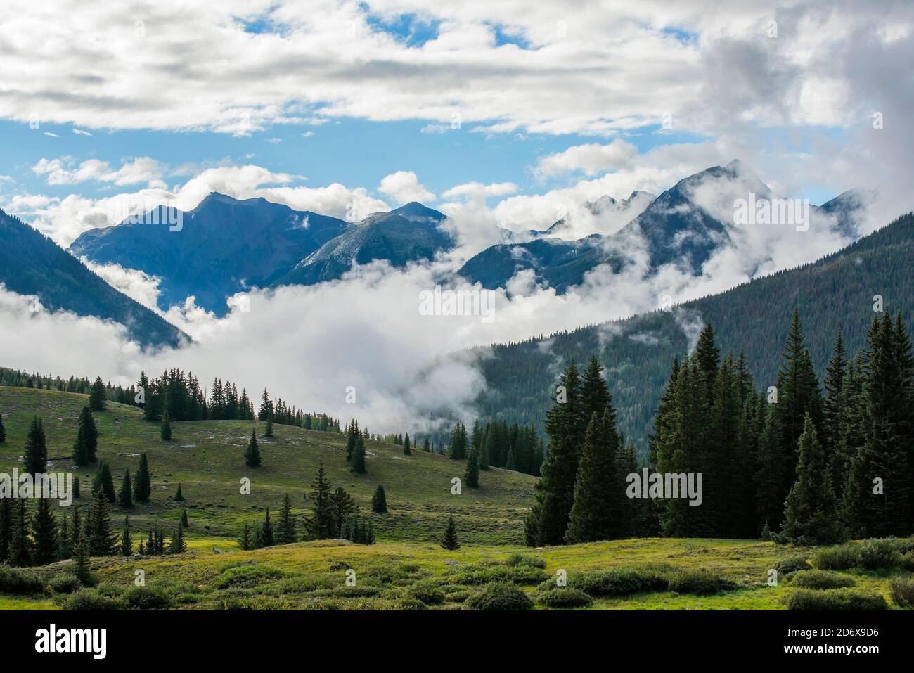 Foggy Morning, Molas Pass, San Juan MTS, Rockies, CO, USA, par Bruce montagne/Dembinsky photo Assoc Banque D'Images