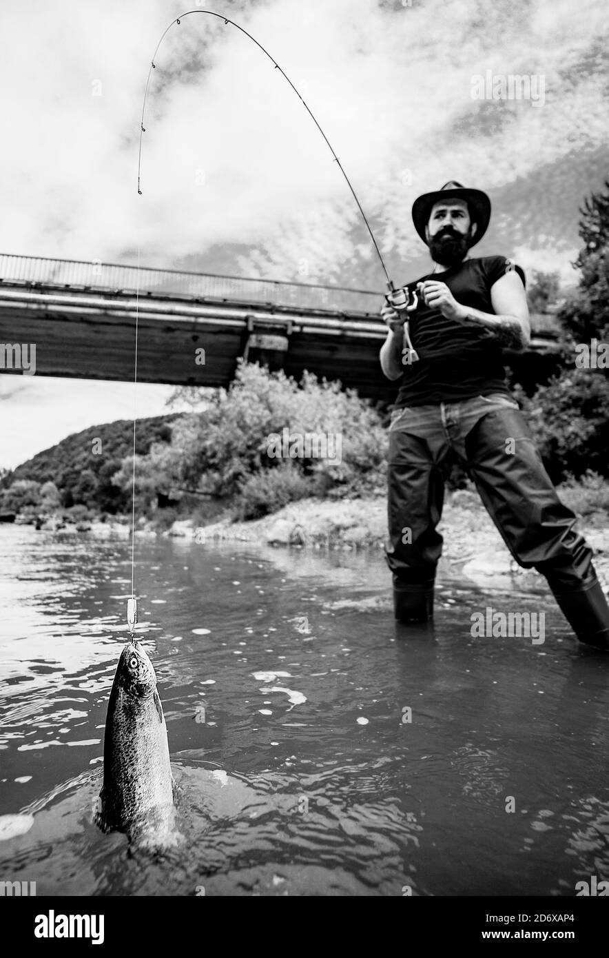 Pêche à la mouche - méthode pour attraper la truite. Pêche en rivière. Capture un poisson. Attraper un gros poisson avec un poteau de pêche. Banque D'Images