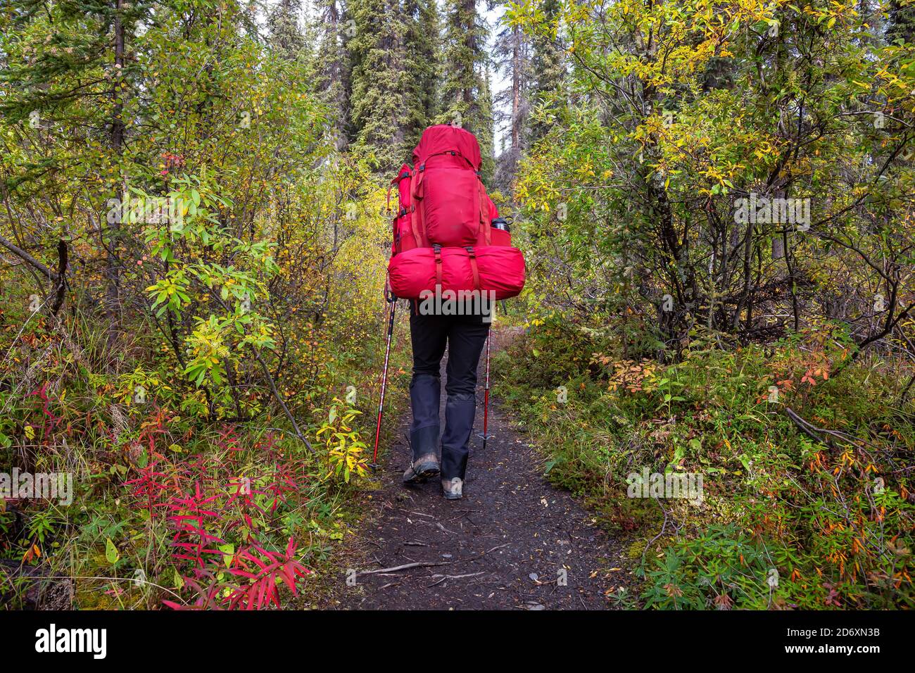 Femme randonnée le long du sentier de randonnée pendant la saison d'automne Banque D'Images