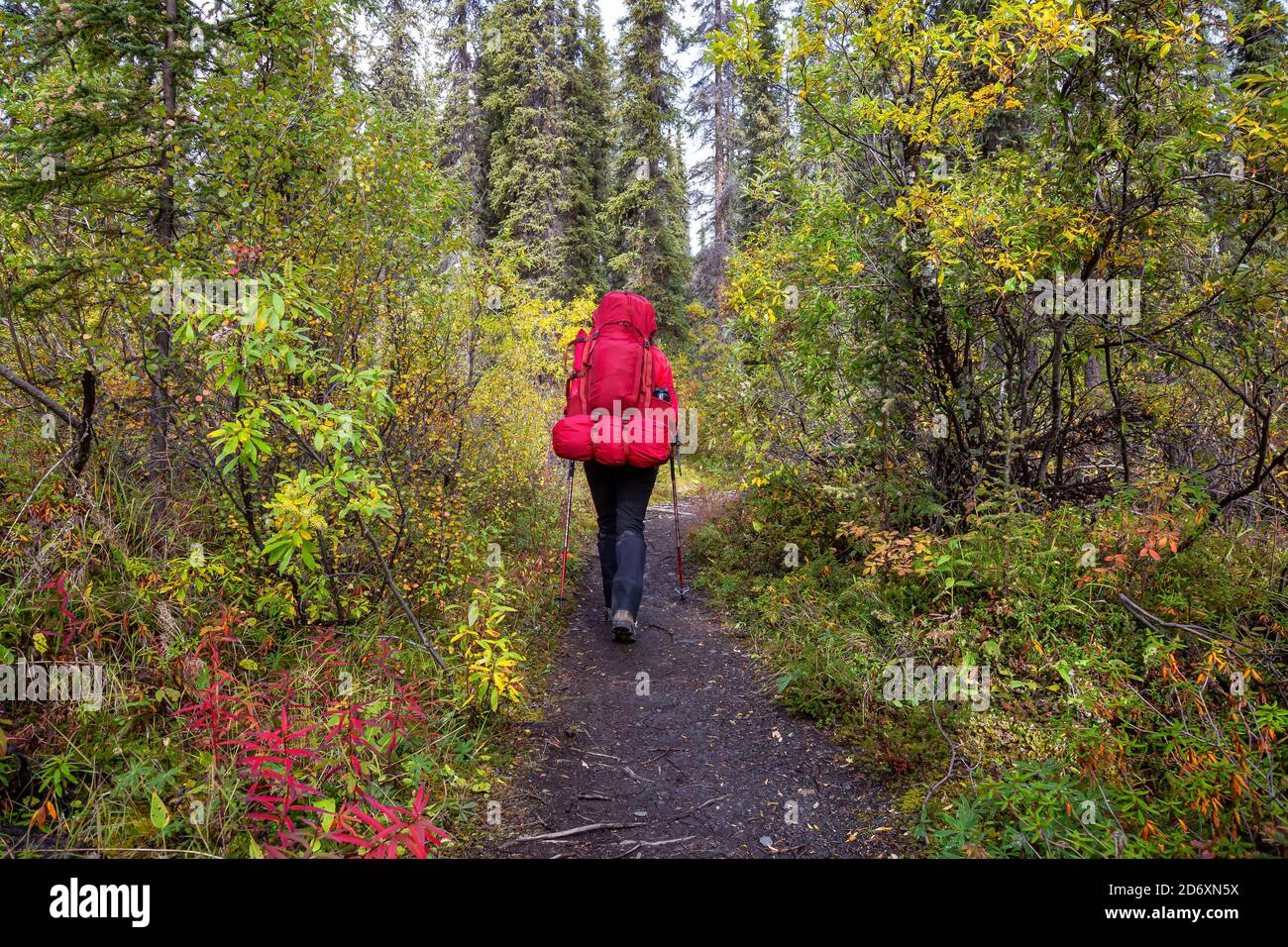 Femme randonnée le long du sentier de randonnée pendant la saison d'automne Banque D'Images