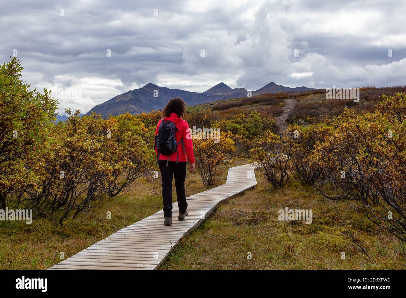 Femme randonnée le long de Scenic Trail sur une montagne, à l'automne Banque D'Images
