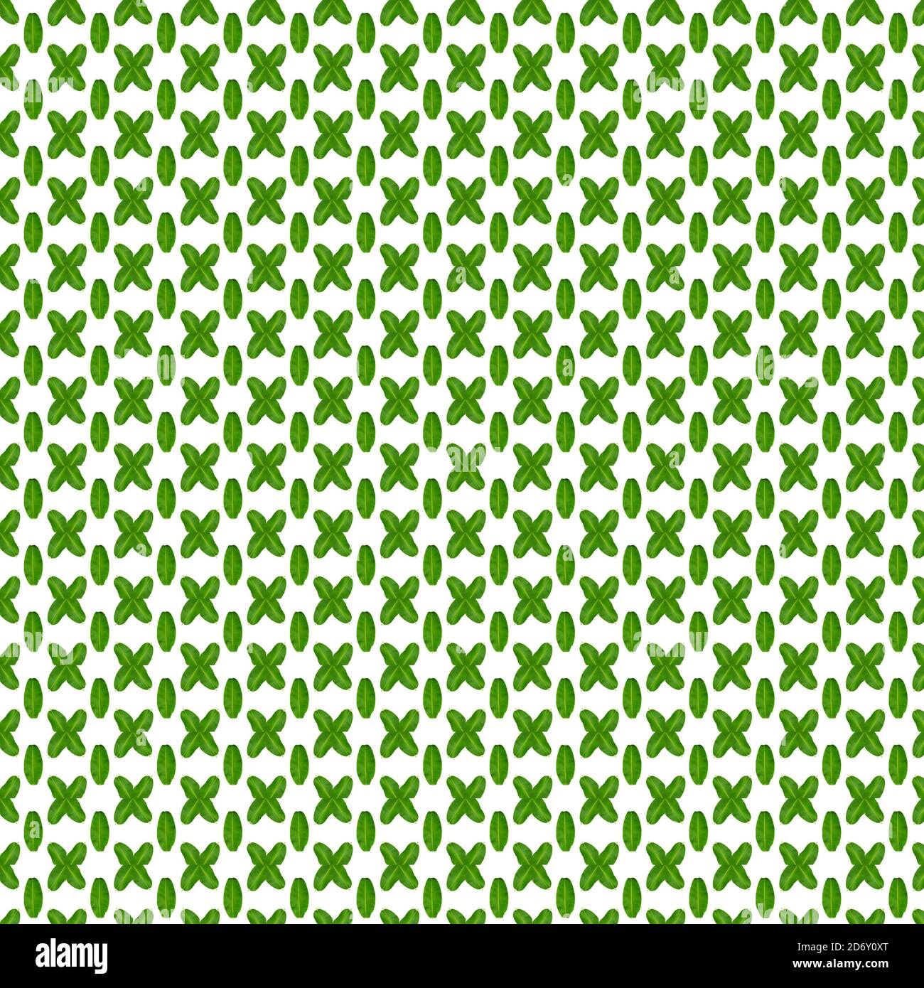 Motif sans couture de feuilles de banane vertes sur fond blanc. Plantes concept de motif sans couture. Banque D'Images
