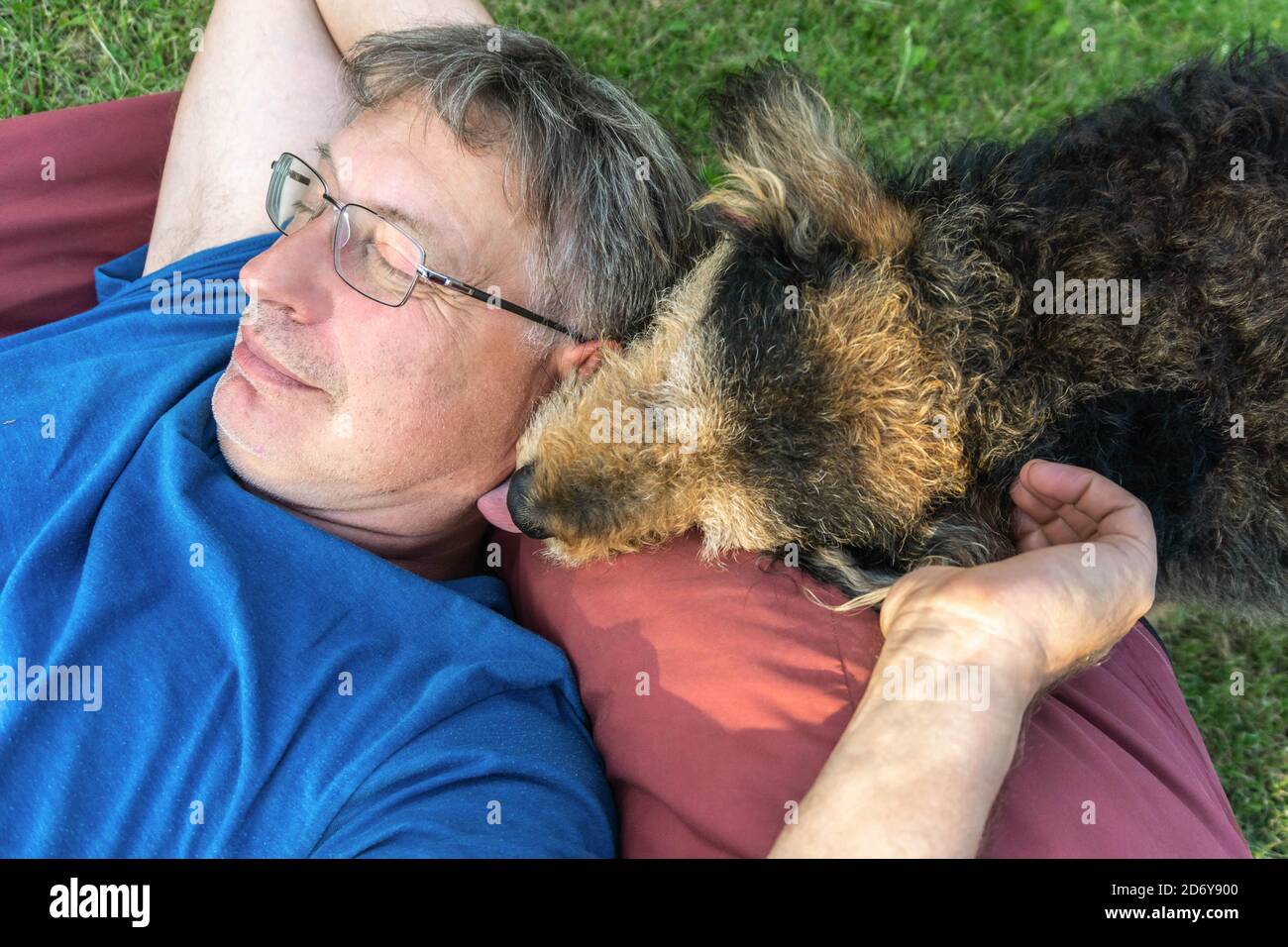 Chien âgé léchant le visage d'un homme mûr souriant, allongé sur un oreiller dans un pré. Amitié entre le vieux chien et son propriétaire. Animaux de compagnie adoreront le concept Banque D'Images