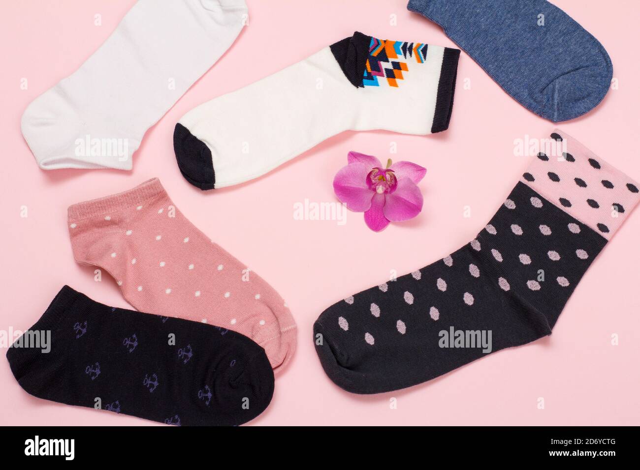 Colorer les chaussettes pour femmes et une fleur d'orchidée sur fond rose, vue du dessus. Banque D'Images