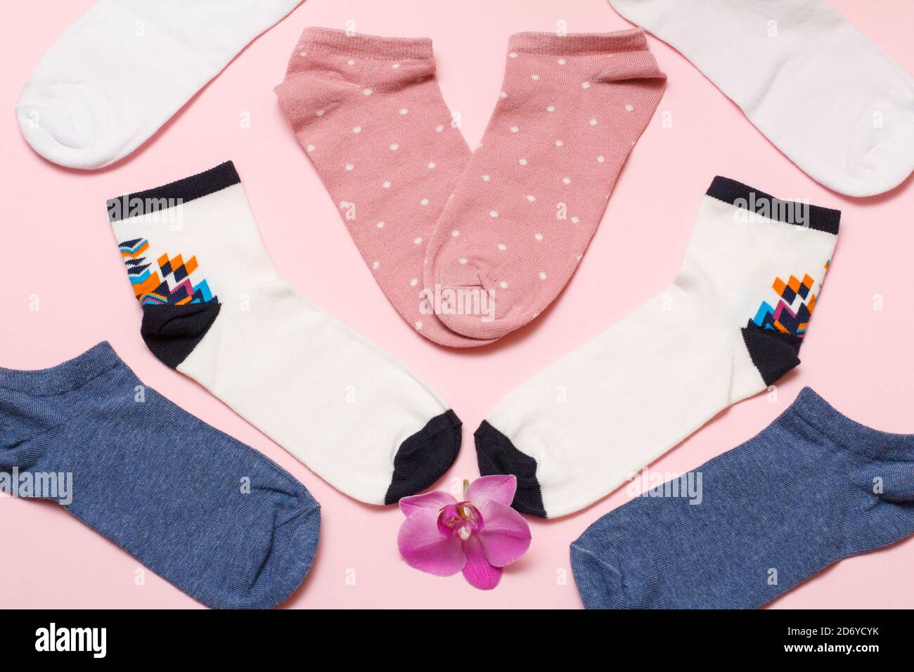Chaussettes pour femmes et une fleur d'orchidée rouge sur fond rose, vue du dessus. Banque D'Images