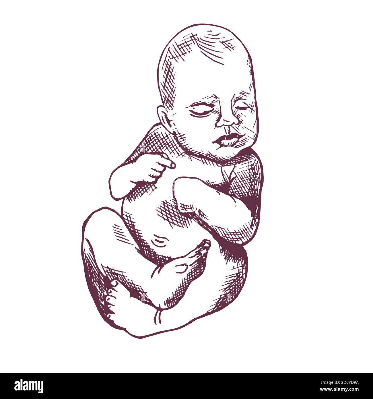 Bebe Chien Dessine A La Main Croquis Dessin De Contour Noir Et Blanc Illustration Photo Stock Alamy