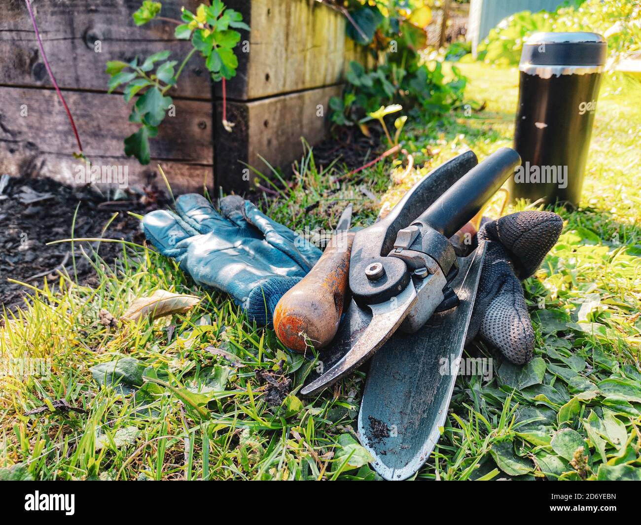 Outils de jardinage sur l'herbe Banque D'Images