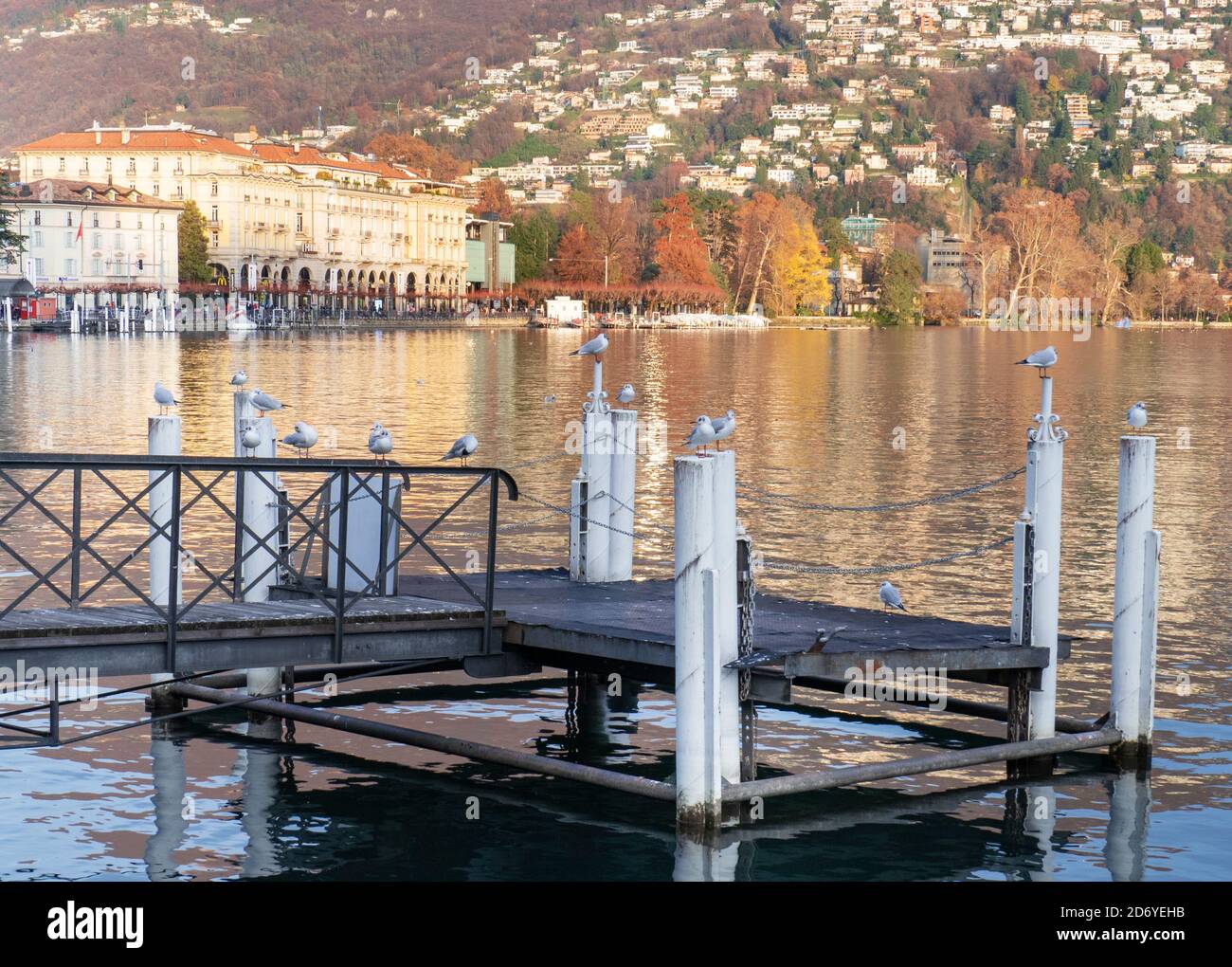 Paysage d'automne avec vue sur les arbres et les oiseaux colorés Le bord du lac.Lugano,Canton Tessin,Suisse Banque D'Images