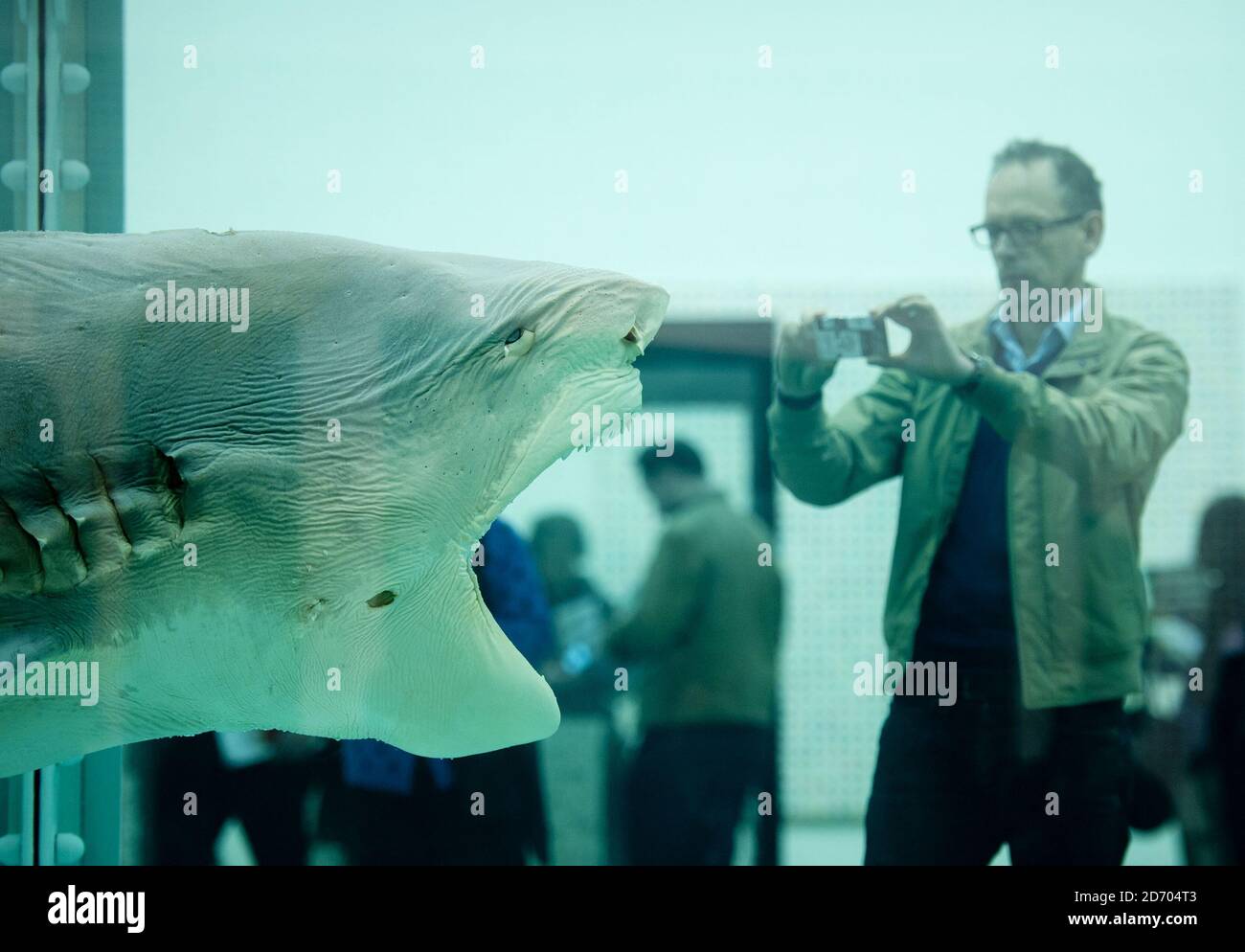 L'impossibilité physique de la mort dans l'esprit de quelqu'un vivant par Damien Hirst, fait d'un requin conservé dans le formaldéhyde, exposé lors d'une exposition rétrospective de son travail à la Tate Modern Gallery de Londres. Banque D'Images