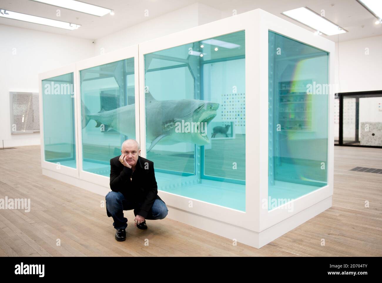 Damien hirst shark Banque de photographies et d’images à haute résolution - Alamy