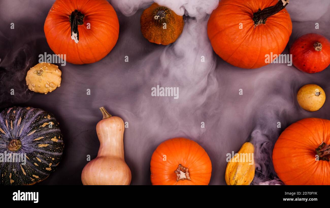 Citrouille automne halloween paysage vue sur le dessus de table, entouré de brouillard brumeux. Vue de dessus avec différents types de citrouilles. Scène de Thanksgiving lumineuse. Banque D'Images