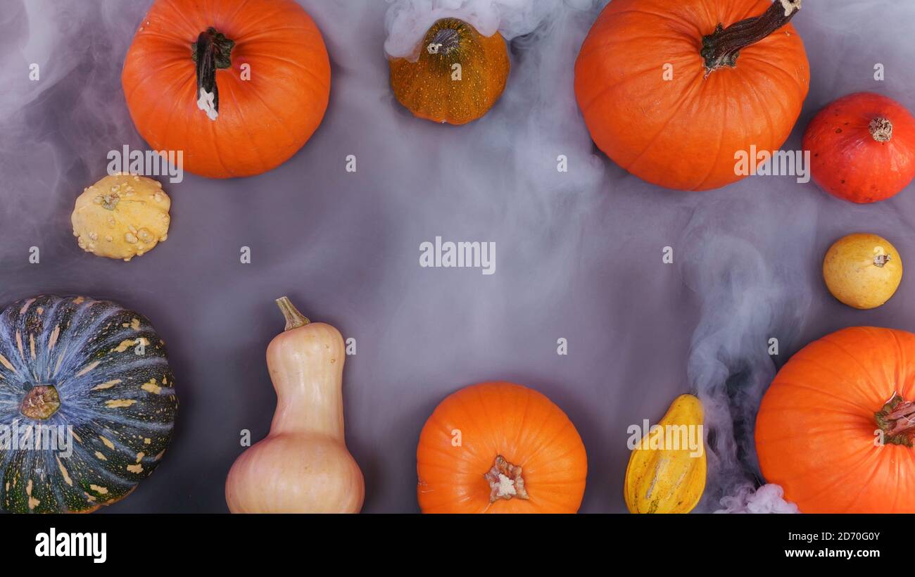 Citrouille automne halloween paysage vue sur le dessus de table, entouré de brouillard brumeux. Vue de dessus avec différents types de citrouilles. Scène de Thanksgiving lumineuse. Banque D'Images