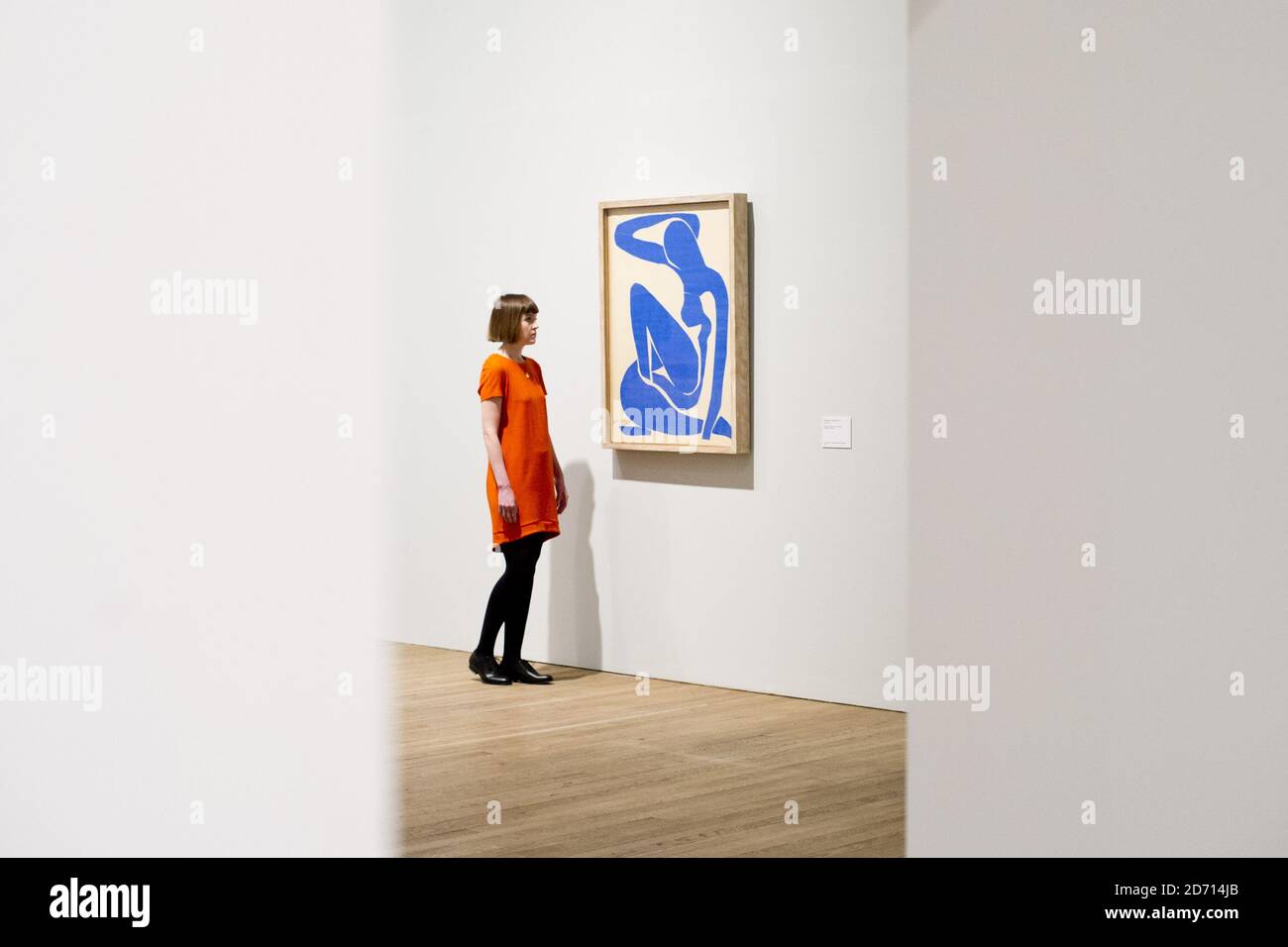 Les visiteurs assistent à l'avant-première d'Henri Matisse: The Cut-outs, au Tate Modern de Londres. L'exposition des œuvres tardives de Matisse se déroulera du 14 avril au 7 septembre 2014. Banque D'Images Les visiteurs assistent à l'avant-première d'Henri Matisse: The Cut-outs, au Tate Modern de Londres. L'exposition des œuvres tardives de Matisse se déroulera du 14 avril au 7 septembre 2014. Banque D'Images