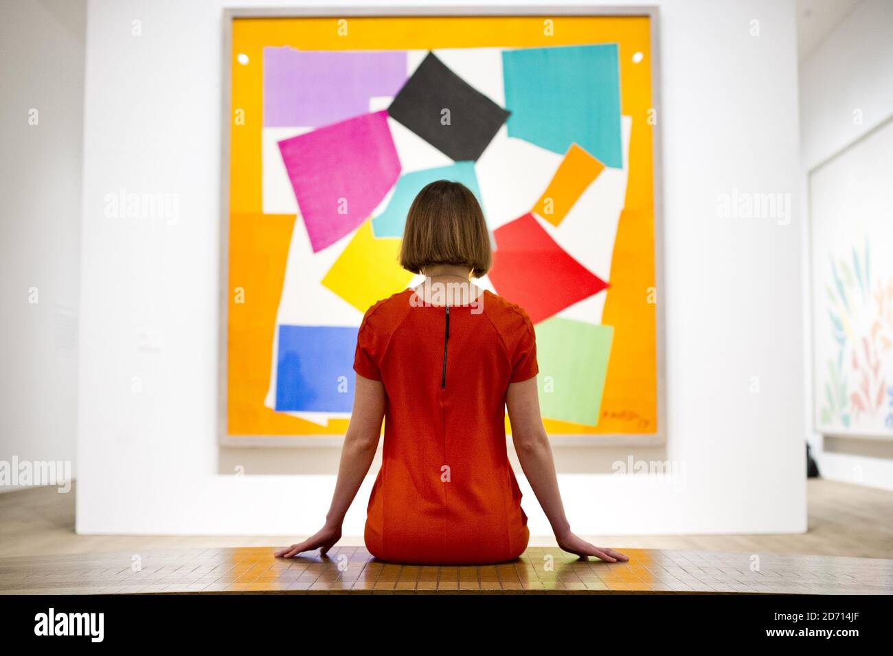 Les visiteurs assistent à l'avant-première d'Henri Matisse: The Cut-outs, au Tate Modern de Londres. L'exposition des œuvres tardives de Matisse se déroulera du 14 avril au 7 septembre 2014. Banque D'Images Les visiteurs assistent à l'avant-première d'Henri Matisse: The Cut-outs, au Tate Modern de Londres. L'exposition des œuvres tardives de Matisse se déroulera du 14 avril au 7 septembre 2014. Banque D'Images