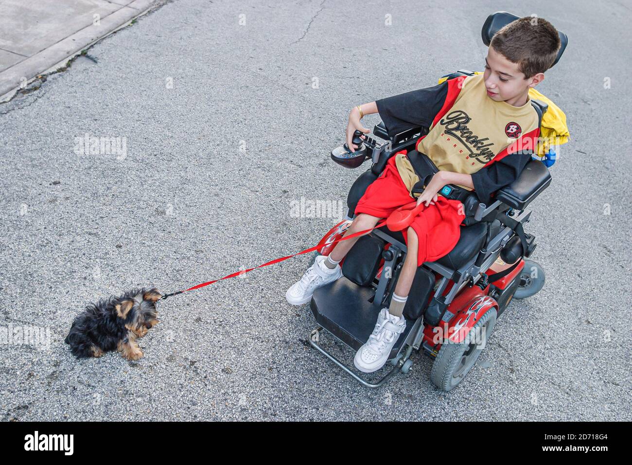 Miami Florida, Coral Gables, handicapés garçon chien laisse fauteuil roulant électrique, Banque D'Images