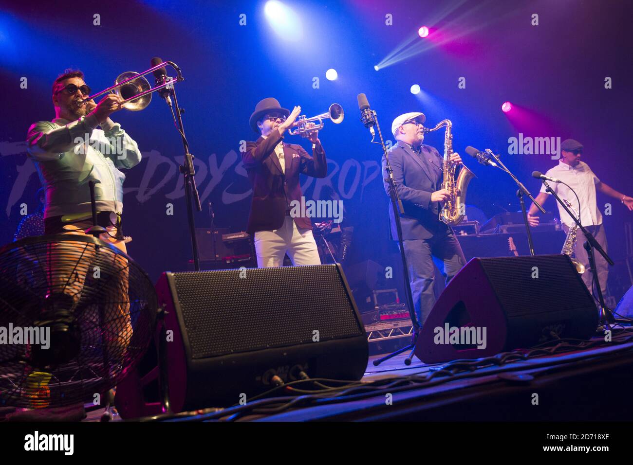 La baisse de FAT Freddy se déroulant au festival Womad, à Charlton Park, dans le Wiltshire. Banque D'Images