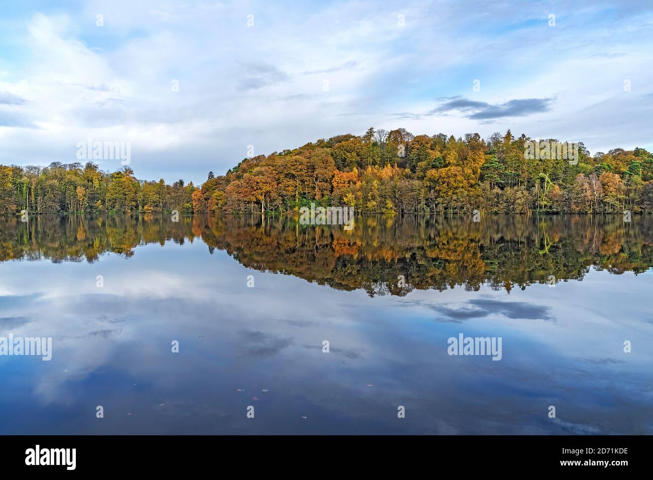 Vue sur le bois en automne depuis le chemin de halage sur le Llangollen Canal traversant Blakemere près d'Ellesmere en automne Shropshire Royaume-Uni novembre 2019 6014 Banque D'Images