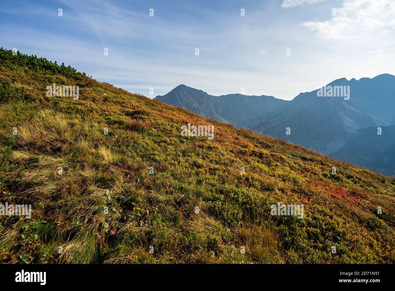 Prés de montagne dans les Tatras occidentaux. Pics de Rohace en arrière-plan. Slovaquie. Banque D'Images