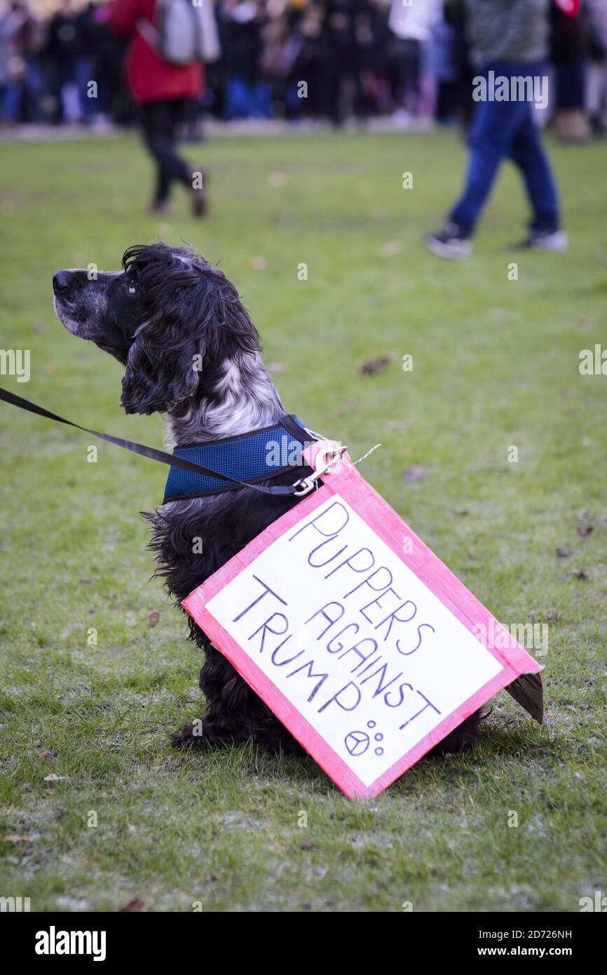 Les manifestants se rassemblent devant l'ambassade américaine de Grosvenor Square lors de la Marche des femmes à Londres, où les manifestants ont défilé pour promouvoir les droits des femmes à la suite du résultat des élections américaines. Date de la photo: Samedi 21 janvier 2017. Le crédit photo devrait se lire: Matt Crossick/ EMPICS Entertainment. Banque D'Images