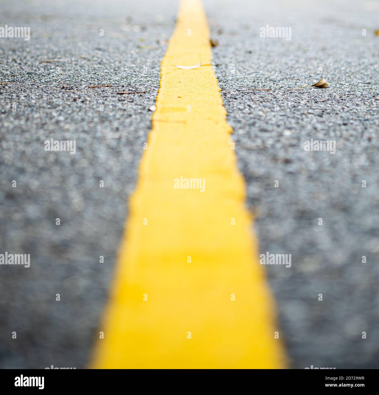 Vue rapprochée d'une seule ligne jaune sur la route en mode de mise au point douce, vue en perspective à un point. Banque D'Images