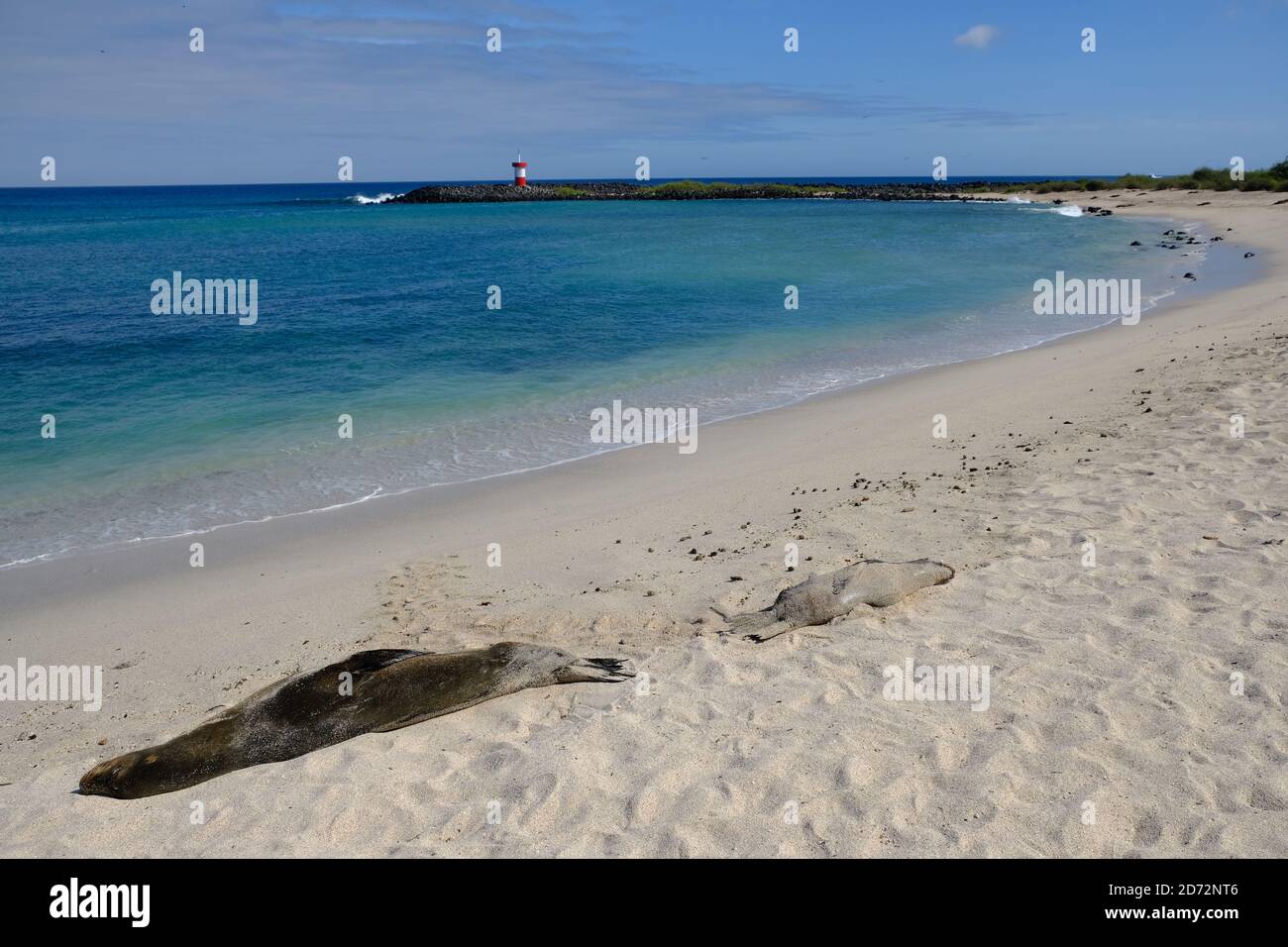 Équateur Îles Galapagos - Île San Cristobal - Punta Carola plage et phare de Faro Punta Carola Banque D'Images