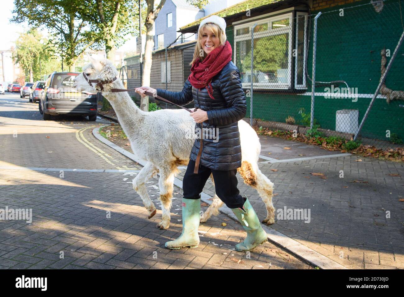 Kate Garraway, présentatrice en douceur, marche les alpacas à Vauxhall City Farm, dans le sud de Londres, dans le cadre de son Job Hop de 24 heures, en recueillant de l'argent pour la charité de Smoothâ€™s, Make Sun certain bruit de Global. Banque D'Images