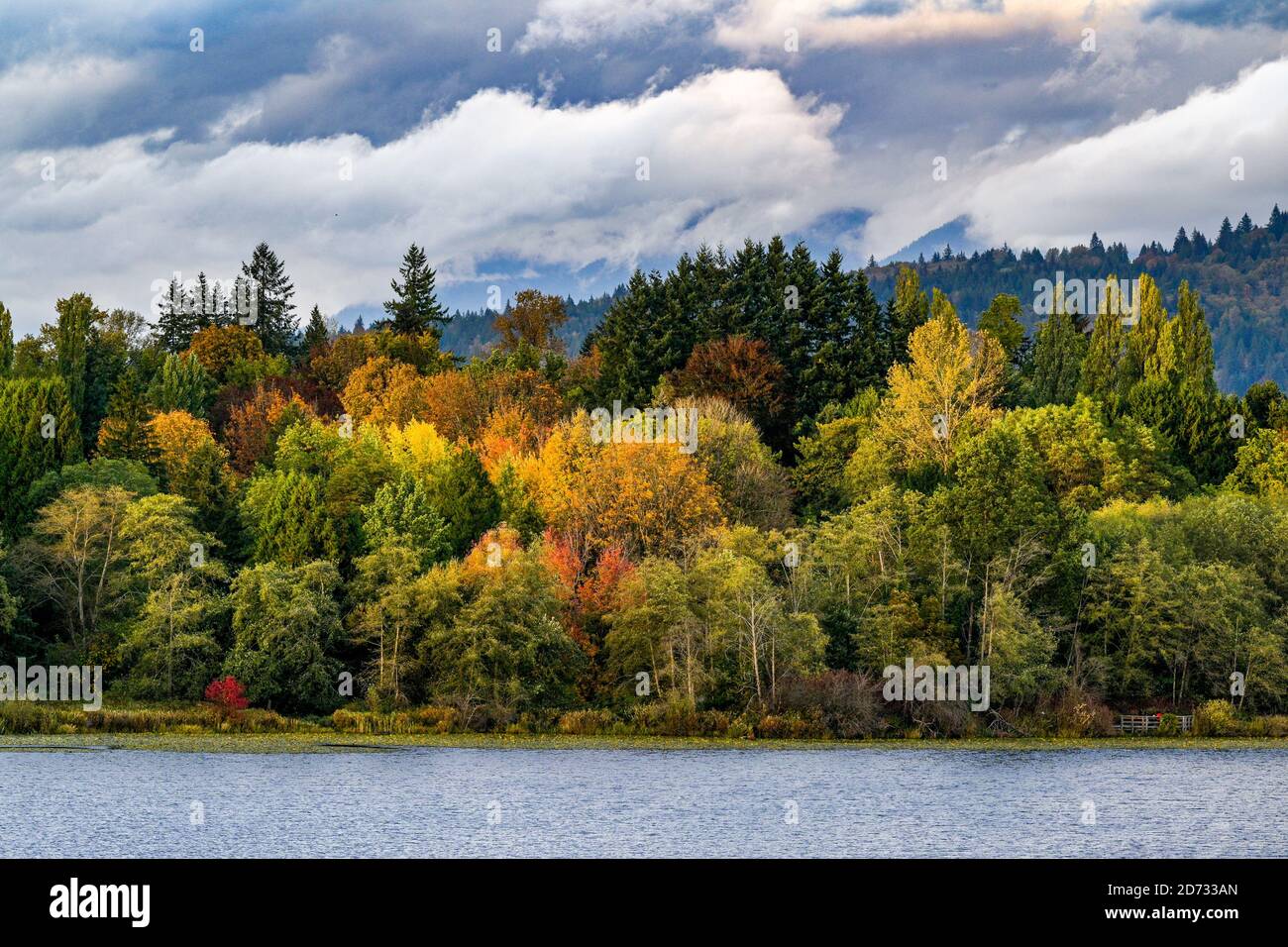 Couleur d'automne, Deer Lake Park, Burnaby, Colombie-Britannique, Canada Banque D'Images